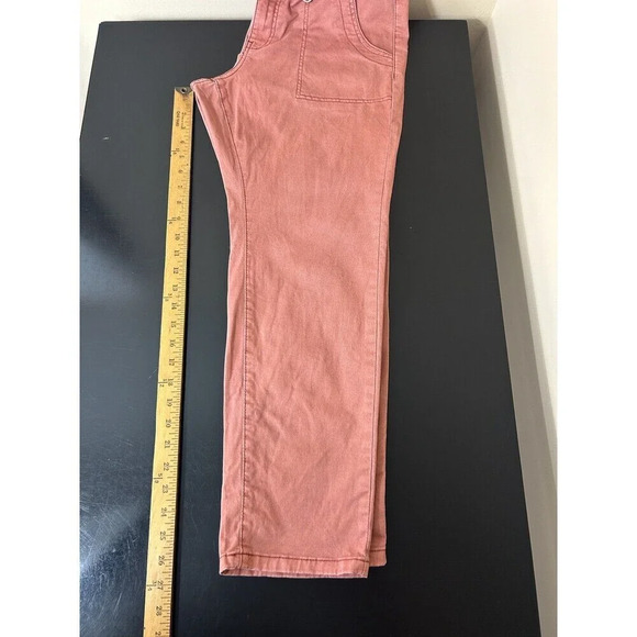 Anthropologie‎ Pilcro Jefferson Utility Pants Stretch Rose Orange 30 Petite - Picture 12 of 12